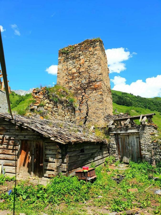 Panorama Guesthouse Mata C. Adishi Dış mekan fotoğraf
